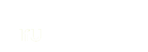 Institut für Unternehmenskybernetik (IfU) e.V.